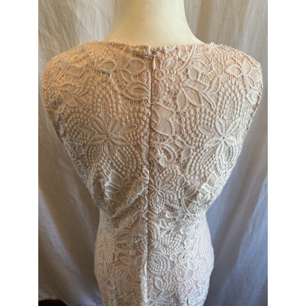 Sharagano Lace Sheath Dress Women 8 Pink Sleeveless Modest Lined Scalloped Hem - Picture 9 of 12